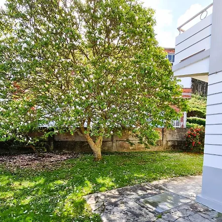 La Casa Del Magnolio 3º *